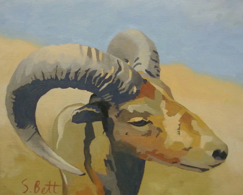 sold